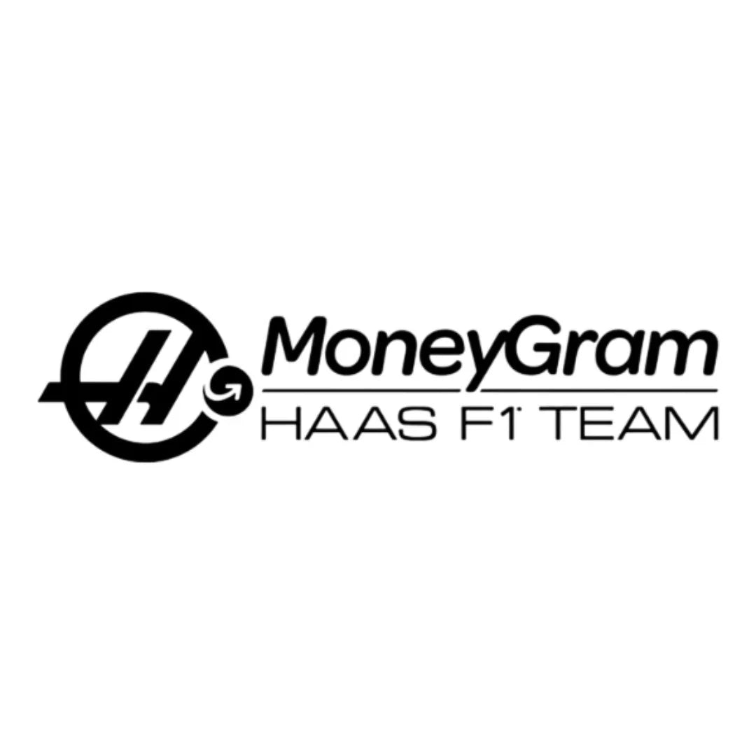 Haas F1 Team logo