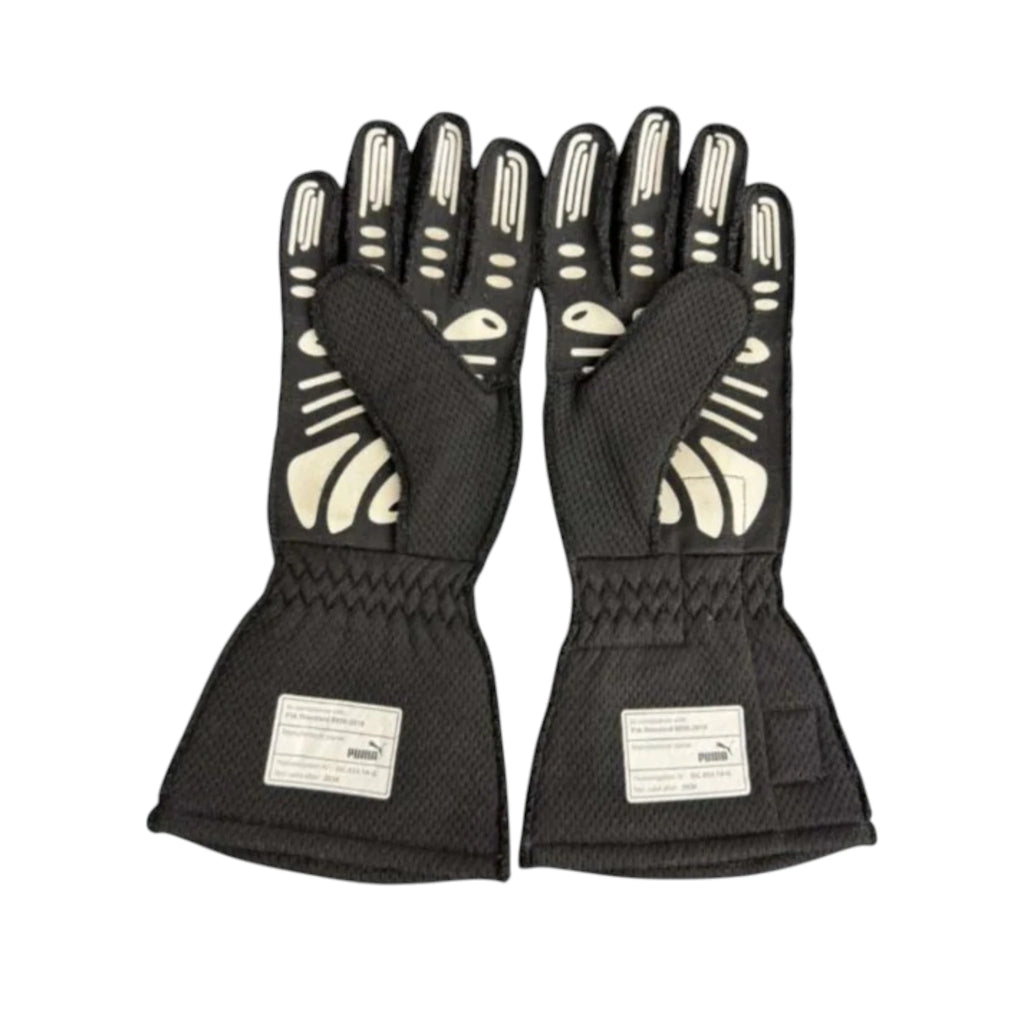 Max Verstappen 2019 Red Bull F1 racing gloves in black with Red Bull, Puma, Esso, and 007 branding